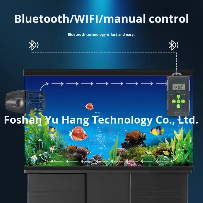 Fornecimento de vendas diretas - Marine Aquarium Tank For Sale avaliação e preço