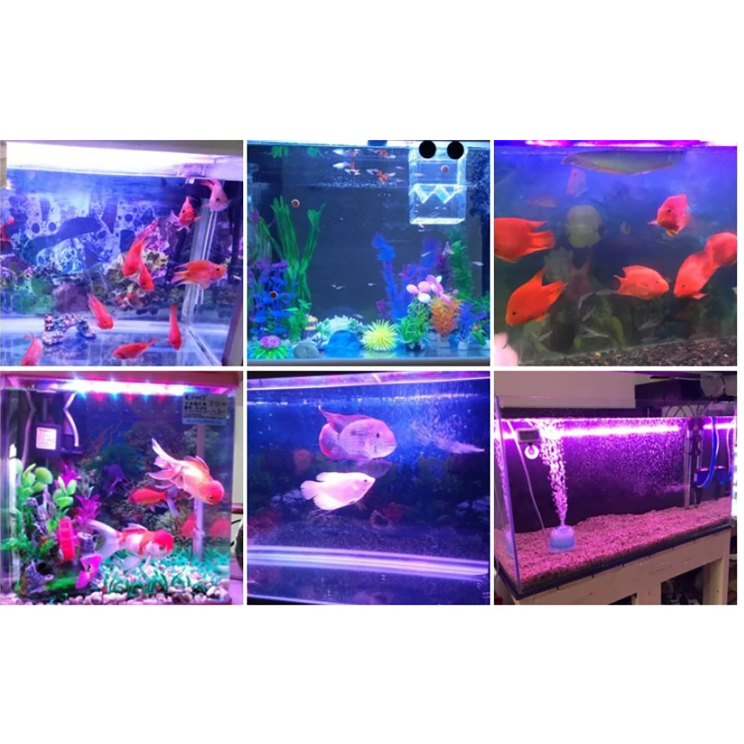 Iluminação LED para aquário ma - Marine Aquarium Uv avaliação e preço